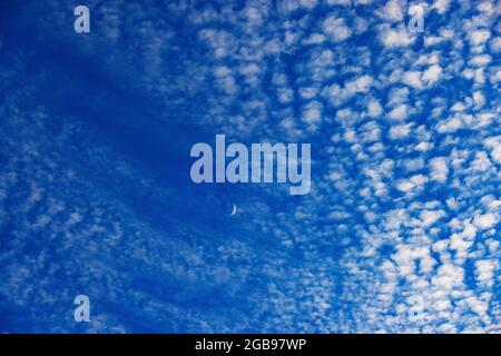 Altocumulus Wolken mit Halbmond, flauschige Wolken, Oberösterreich, Österreich Stockfoto