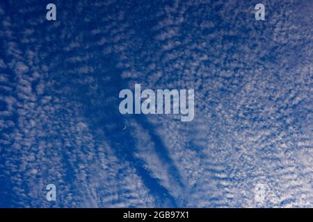 Altocumulus Wolken mit Halbmond, flauschige Wolken, Oberösterreich, Österreich Stockfoto