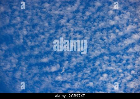 Altocumulus Wolken mit Halbmond, flauschige Wolken, Oberösterreich, Österreich Stockfoto