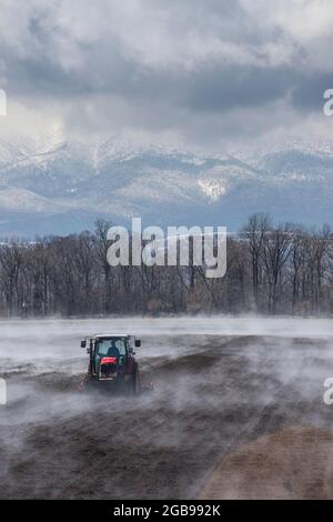 Traktor sät ein Feld, während es vom warmen Boden verdampft, UNESCO-Weltkulturerbe Shiretoko National Park, Hokkaido, Japan Stockfoto