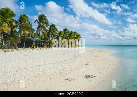 Mann, der eine riesige Muschel bläst, die Lagune von Aitutaki, Rarotonga und die Cook-Inseln Stockfoto