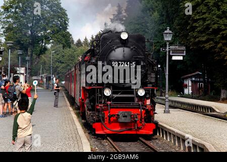 Harzer Schmalspurbahn im Bahnhof, Brockenbahn, Dampflokomotive, Nationalpark Harz, drei Annen Hohne, Werningerode, Harz, Sachsen-Anhalt Stockfoto