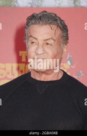 Los Angeles, Kalifornien, USA. August 2021. Sylvester Stallone 08/02/2021 die Premiere von „The Suicide Squad“ im Regency Village Theatre in Los Angeles, CA Foto von Izumi Hasegawa/HollywoodNewsWire.net Quelle: Hollywood News Wire Inc./Alamy Live News Stockfoto