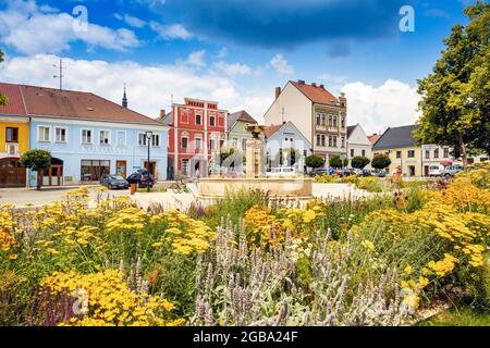 náměstí, Kamenice nad Lipou, kraj Vysocina, Ceska republika / Platz, Burg Kamenice nad Lipou, Bezirk Vysocina, Tschechische republik Stockfoto