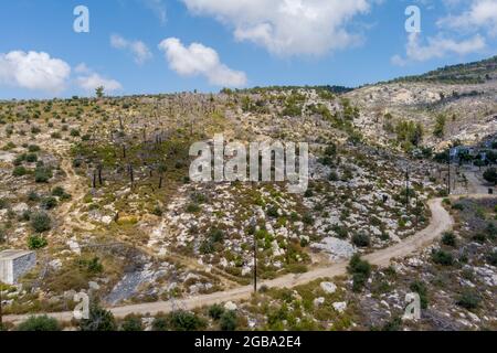 Der verbrannte Wald fünf Jahre nach dem Brand in Aliki Thassos, Griechenland Stockfoto