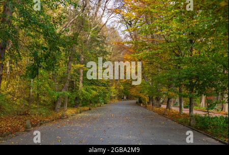 Gasse im Sofievsky Arboretum oder Sofiyivsky Park in Uman, Ukraine, an einem sonnigen Herbsttag Stockfoto