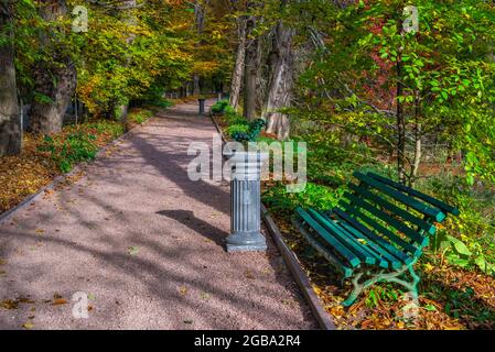 Gasse im Sofievsky Arboretum oder Sofiyivsky Park in Uman, Ukraine, an einem sonnigen Herbsttag Stockfoto