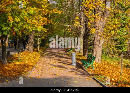 Gasse im Sofievsky Arboretum oder Sofiyivsky Park in Uman, Ukraine, an einem sonnigen Herbsttag Stockfoto