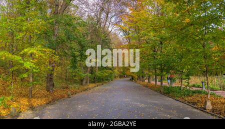 Gasse im Sofievsky Arboretum oder Sofiyivsky Park in Uman, Ukraine, an einem sonnigen Herbsttag Stockfoto