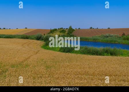 Fluss mit üppig grünen Ufern schlängelt sich durch Ackerland mit Feldern, die für Getreideanbau gepflanzt und für die neue Ernte in einer landschaftlich reizvollen Landwirtschaft gepflügt wurden Stockfoto