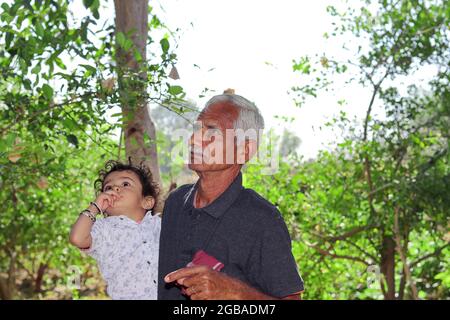 Nahaufnahme eines indischen Großvaters und eines kleinen Enkels, der Bäume und Pflanzen im Garten betrachtet. Großvater und Enkel im Garten Stockfoto