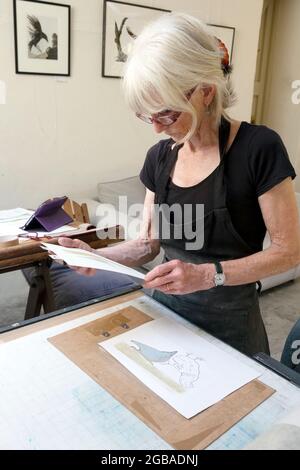 Die britische Künstlerin Vivian Kersey arbeitet an einem Linolschnitt auf einer Littljohn-Radierpresse in ihrer Druckwerkstatt Carmarthenshire Wales UK KATHY DEWITT Stockfoto