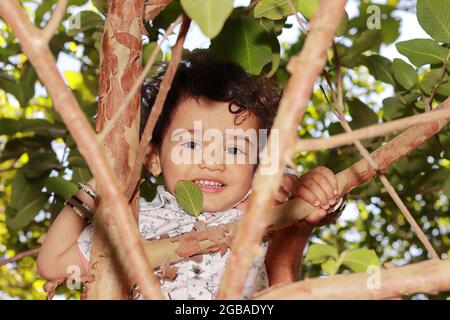 Nahaufnahme eines asiatischen jungen glücklichen Kindes, das im Garten auf einen Baum klettert und die Kamera anlächelt. Vorderansicht des indischen kleinen Jungen auf dem Baum in Stockfoto