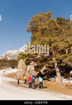 Winter im Naturschutzgebiet Pont d'Espagne, Favorit der Langläufer und Schneeschuhwanderer, Frankreich Stockfoto