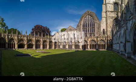 Kloster, Kapitelhaus, Kathedrale Von Canterbury, Canterbury, Kent, England Stockfoto