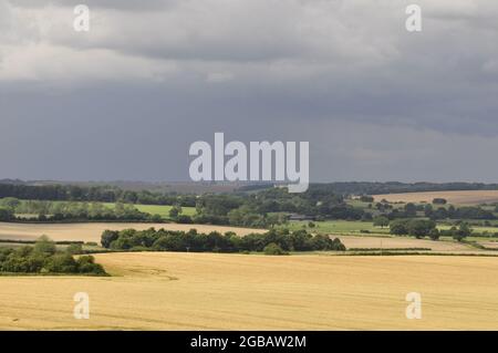 Die Lincolnshire Wolds, nordwestlich von Tetford und südlich von Louth, England, Großbritannien. Stockfoto