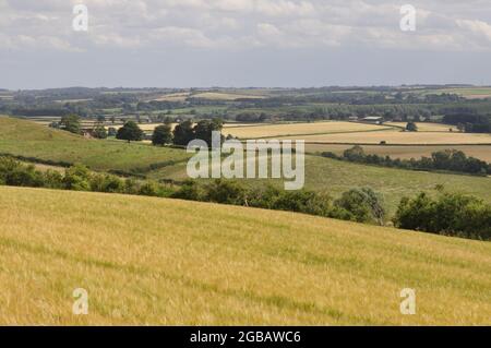 Die Lincolnshire Wolds, nordwestlich von Tetford und südlich von Louth, England, Großbritannien. Stockfoto