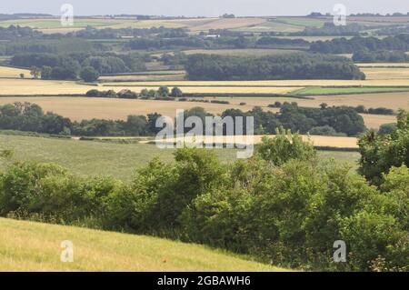 Die Lincolnshire Wolds, nordwestlich von Tetford und südlich von Louth, England, Großbritannien. Stockfoto