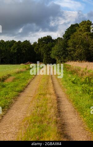 Eine unbefestigte Straße zwischen zwei Feldern, die von Wäldern umgeben sind Stockfoto