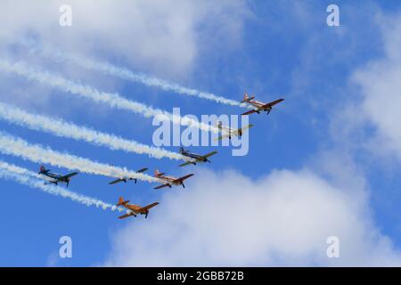 Ein Kunstflugteam aus Yakovlev Yak-52s, einem ehemaligen sowjetischen Trainerflugzeug, das Rauch am Himmel aufschaufeln konnte Stockfoto