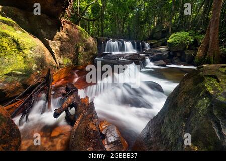 Ein großer Wasserfall in einem Wald Stockfoto