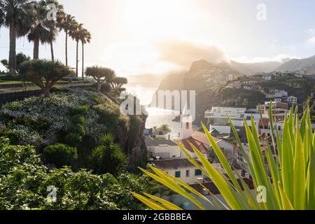 Sonnenuntergang über den weißen Gebäuden von Camara de Lobos, umgeben von Pflanzen, Madeira, Portugal, Atlantik, Europa Stockfoto