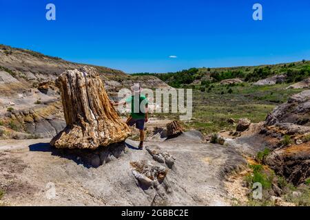 Mann genießt die Aussicht auf dem Petrified Forest Loop Trail im Theodore Roosevelt National Park, North Dakota, USA Stockfoto