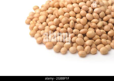 Nahaufnahme von getrockneten Sojabohnen auf weißem Hintergrund Stockfoto