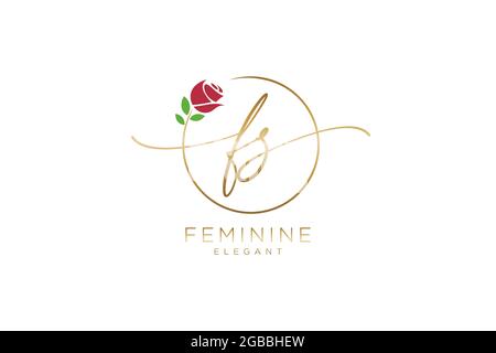 FS feminine Logo Schönheit Monogramm und elegantes Logo-Design, Handschrift Logo der ursprünglichen Signatur, Hochzeit, Mode, Blumen und botanischen mit kreativen Stock Vektor
