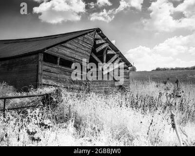 Eine verfallene Scheune am Rand eines Feldes, aufgenommen im Infrarot. Stockfoto