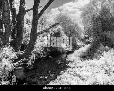 Der River Kennet in der Nähe von Marlborough in Wiltshire, aufgenommen im Infrarotbereich. Stockfoto