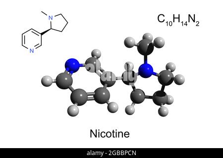 Chemische Formel, Skelettformel und 3D-Ball-and-Stick-Modell von Nikotin, weißer Hintergrund Stockfoto