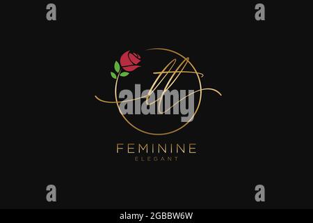 LT feminine Logo Schönheit Monogramm und elegantes Logo-Design, Handschrift Logo der ursprünglichen Signatur, Hochzeit, Mode, Blumen und botanischen mit kreativen Stock Vektor