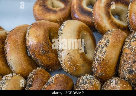 Nahaufnahme von frisch gebackenen Bagels mit Samen darauf. Stockfoto