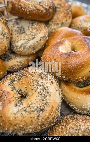 Nahaufnahme von frisch gebackenen Bagels mit Samen darauf. Stockfoto