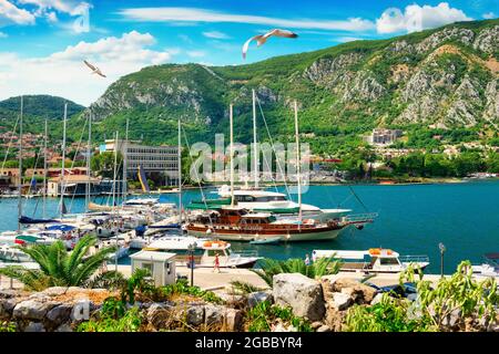 Möwen über Booten, die im Hafen von Kotor, Montenegro, festgemacht sind Stockfoto