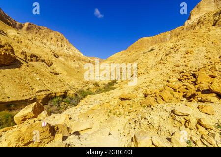 Blick auf die Landschaft entlang des Arugot Baches, im ein Gedi Naturreservat, nahe dem Toten Meer, Süd-Israel Stockfoto