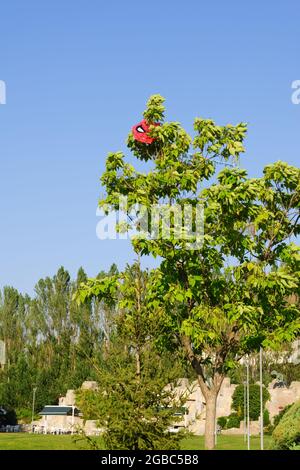 Red Kite mit Spiderman Figur in einem Baum an einem sonnigen Tag stecken Stockfoto