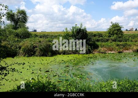 Walthamstow Wetlands, London, Großbritannien. August 2021. Sonniges Wetter auf den Walthamstow Wetlands im Norden Londons. Kredit: Matthew Chattle/Alamy Live Nachrichten Stockfoto