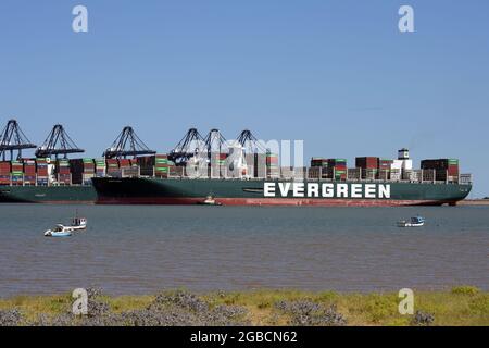 Felixstowe Suffolk, Großbritannien, 3. August 2021. Das jemals von der Evergreen-Reederei übergebene Containerschiff kommt fünf Monate später als geplant in Großbritannien an. Das 400-Meter-Schiff legte nach einer Fahrt vom Suezkanal, wo das Schiff nach der Blockierung des Kanals und der Landstreife am 23. März 2021 festgehalten wurde, in Felixstowe an. Sechs Tage später wurde sie freigelassen, aber das japanische Schiff von Shoei Kisen Kaisha wurde am 13. April 2021 von der ägyptischen Regierung festgenommen, bis eine Vereinbarung über eine Entschädigung getroffen wurde. Quelle: MARTIN DALTON/Alamy Live News Stockfoto