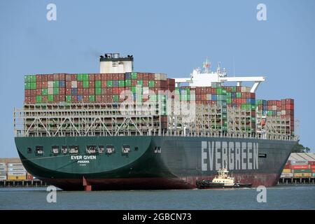 Felixstowe Suffolk, Großbritannien, 3. August 2021. Das jemals von der Evergreen-Reederei übergebene Containerschiff kommt fünf Monate später als geplant in Großbritannien an. Das 400-Meter-Schiff legte nach einer Fahrt vom Suezkanal, wo das Schiff nach der Blockierung des Kanals und der Landstreife am 23. März 2021 festgehalten wurde, in Felixstowe an. Sechs Tage später wurde sie freigelassen, aber das japanische Schiff von Shoei Kisen Kaisha wurde am 13. April 2021 von der ägyptischen Regierung festgenommen, bis eine Vereinbarung über eine Entschädigung getroffen wurde. Quelle: MARTIN DALTON/Alamy Live News Stockfoto