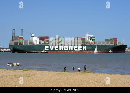 Felixstowe Suffolk, Großbritannien, 3. August 2021. Das jemals von der Evergreen-Reederei übergebene Containerschiff kommt fünf Monate später als geplant in Großbritannien an. Das 400-Meter-Schiff legte nach einer Fahrt vom Suezkanal, wo das Schiff nach der Blockierung des Kanals und der Landstreife am 23. März 2021 festgehalten wurde, in Felixstowe an. Sechs Tage später wurde sie freigelassen, aber das japanische Schiff von Shoei Kisen Kaisha wurde am 13. April 2021 von der ägyptischen Regierung festgenommen, bis eine Vereinbarung über eine Entschädigung getroffen wurde. Quelle: MARTIN DALTON/Alamy Live News Stockfoto