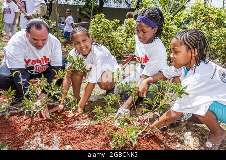 Miami Florida, Overtown Peace Park, Global Youth Service Day, Freiwillige von Bäumen, die Studenten ehrenamtlich engagieren, Kinder von Schwarzen Männern, die Gartenmädchen Pflanzen. Stockfoto