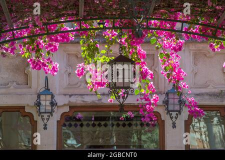 Taormina, Messina, Sizilien, Italien. Dekorative Lampen unter dem Baldachin aus rosa Bougainvillea in den Gärten des Grand Hotel Timeo, Via Teatro Greco. Stockfoto