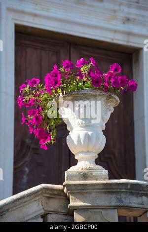 Taormina, Messina, Sizilien, Italien. Dekorative Urne gefüllt mit rosa Petunien auf der Terrasse der Kirche San Giuseppe, Piazza IX Aprile. Stockfoto