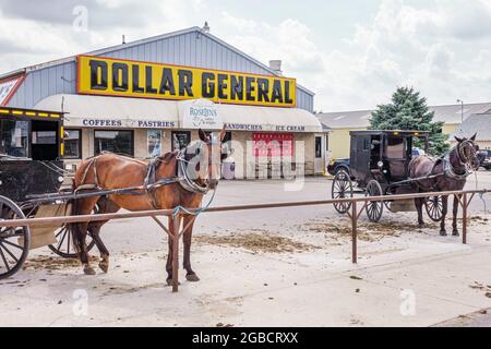 Illinois Arthur Dollar General Store, Parkplatz Amish Buggy Horse geparkt Anhalter, außen Vordereingang, Stockfoto