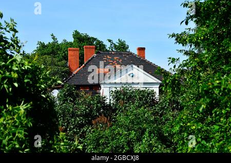 Haus zwischen Bäumen, blauer wolkenloser Himmel im Hintergrund. Sommer. Stockfoto