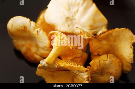 Pfifferlinge - Chanterelle Pilze auf einem Tisch. Stockfoto