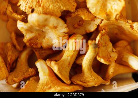 Pfifferlinge - Chanterelle Pilze auf einem Tisch. Stockfoto