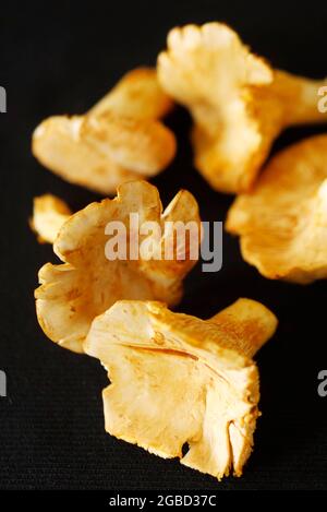 Pfifferlinge - Chanterelle Pilze auf einem Tisch. Stockfoto